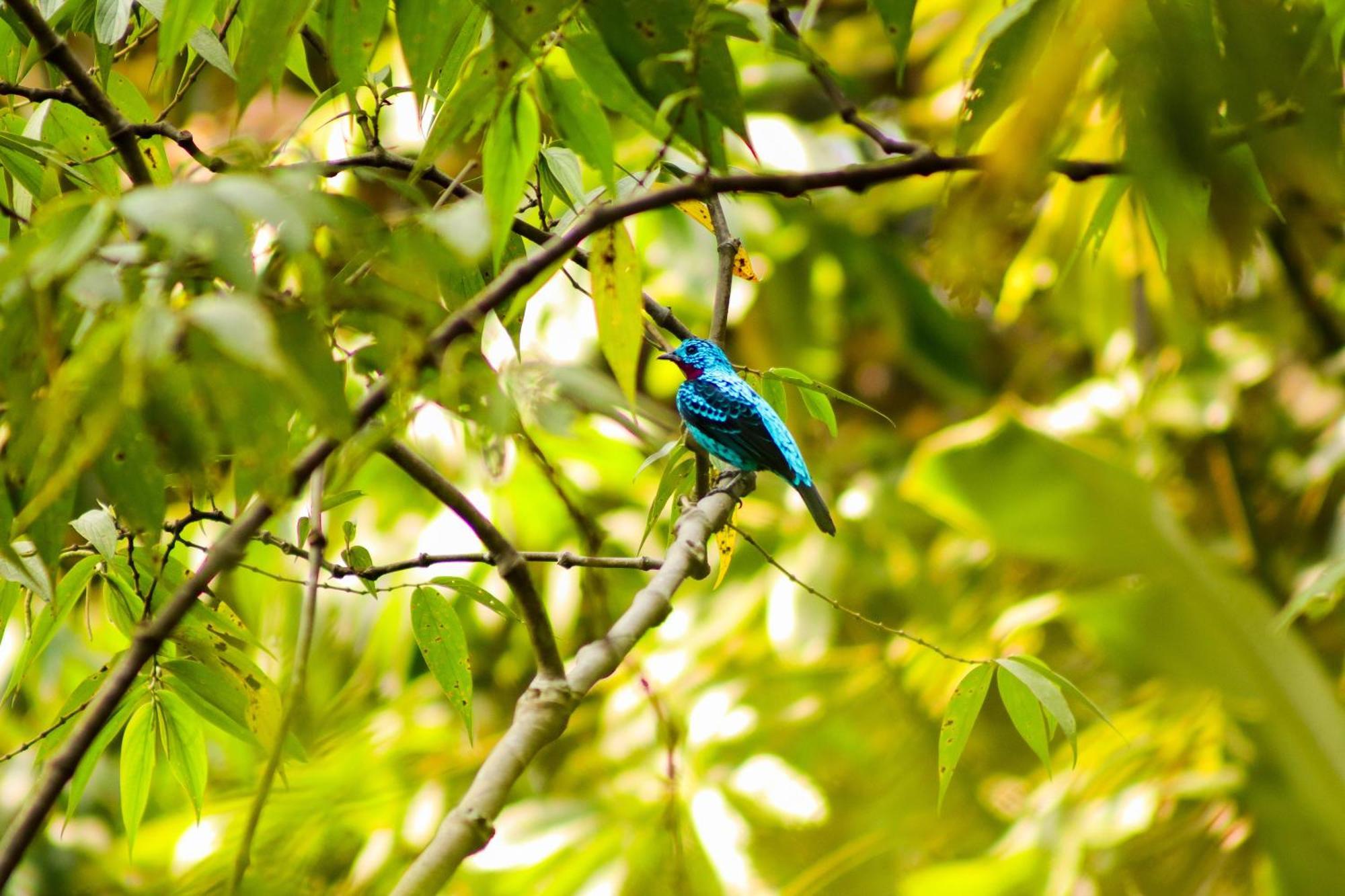 Pousada Paraiso Do Calango Azul 프레지덴테 피게이레도 외부 사진
