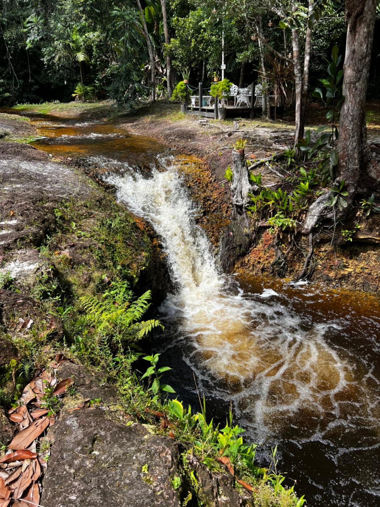 Pousada Paraiso Do Calango Azul 프레지덴테 피게이레도 외부 사진